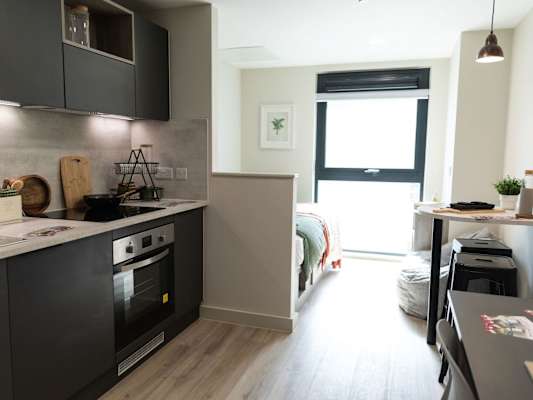 Penthouse Deluxe Studio room type